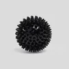 Zwarte, ronde bal met veel kleine, stompe stekels over het hele oppervlak.